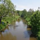 zdjęcie nr 55