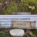 zdjęcie nr 7