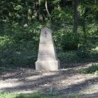 zdjęcie nr 43