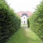 zdjęcie nr 38