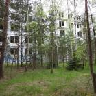 zdjęcie nr 75