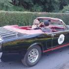 Fotka nr 2 z 24