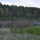 zdjęcie nr 9