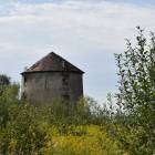 zdjęcie nr 8