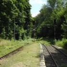 zdjęcie nr 8