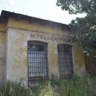 zdjęcie nr 21