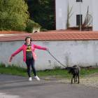 zdjęcie nr 10