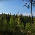 zdjęcie nr 28