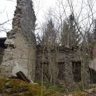 zdjęcie nr 30