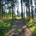 zdjęcie nr 39