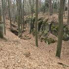 zdjęcie nr 75