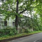 zdjęcie nr 42