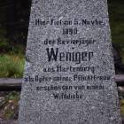 zdjęcie nr 10