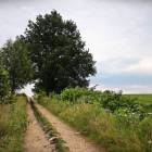 Fotka nr 1 z 23
