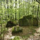 zdjęcie nr 34