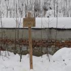 zdjęcie nr 10