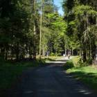 zdjęcie nr 16