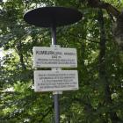 zdjęcie nr 43