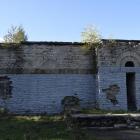 zdjęcie nr 31