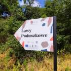 Fotka nr 3 z 8