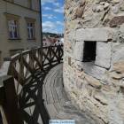 zdjęcie nr 8