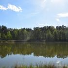 Fotka nr 3 z 18