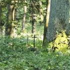 zdjęcie nr 53