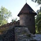 zdjęcie nr 53