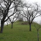 zdjęcie nr 32