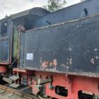 Fotka nr 5 z 13