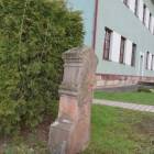 zdjęcie nr 22