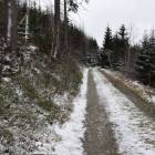 zdjęcie nr 9