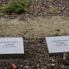 zdjęcie nr 43