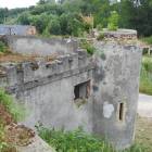 zdjęcie nr 21