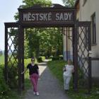 zdjęcie nr 14