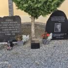 zdjęcie nr 13