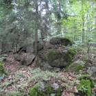 zdjęcie nr 7