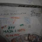 zdjęcie nr 22