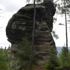 zdjęcie nr 7
