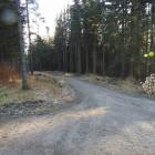 zdjęcie nr 11