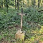 zdjęcie nr 57