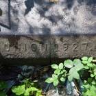 zdjęcie nr 8