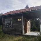 zdjęcie nr 31