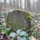 zdjęcie nr 40