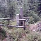 Fotka nr 4 z 13