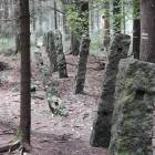 zdjęcie nr 8
