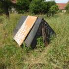 zdjęcie nr 7