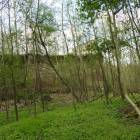 zdjęcie nr 15