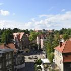 zdjęcie nr 7