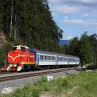Fotka nr 4 z 20